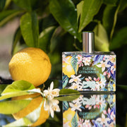FRAGONARD Fleur de Citronnier